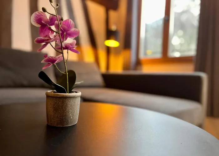 Evasion Rouennaise - 361